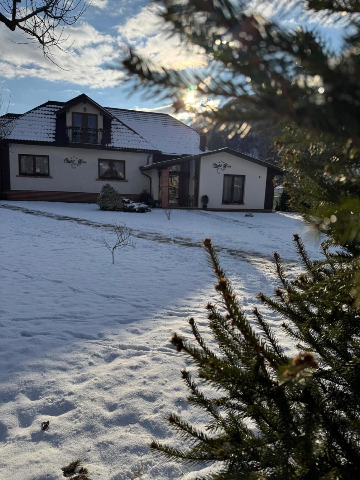 Chalet Bora Viseu de Jos Exterior foto