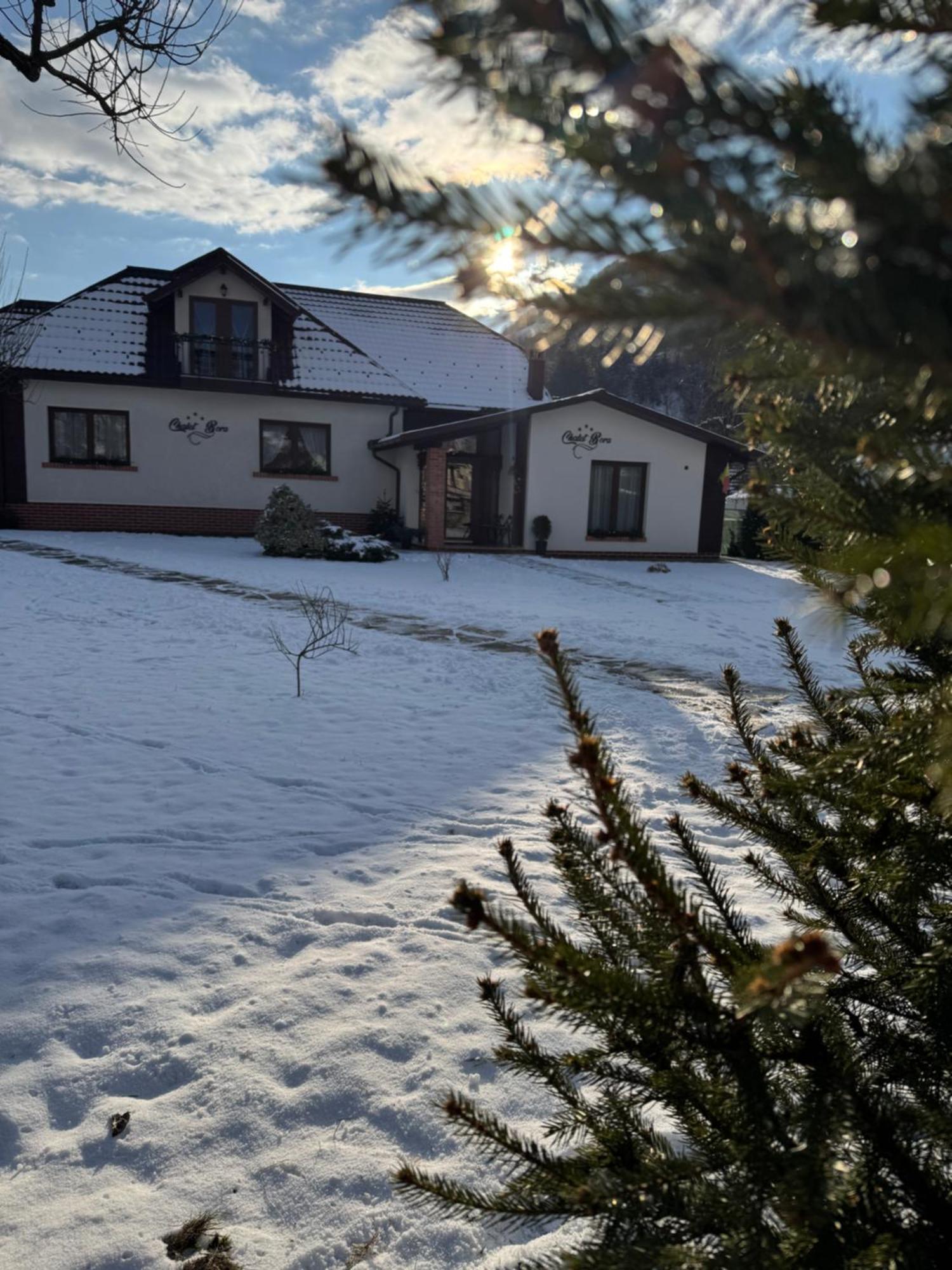 Chalet Bora Viseu de Jos Exterior foto