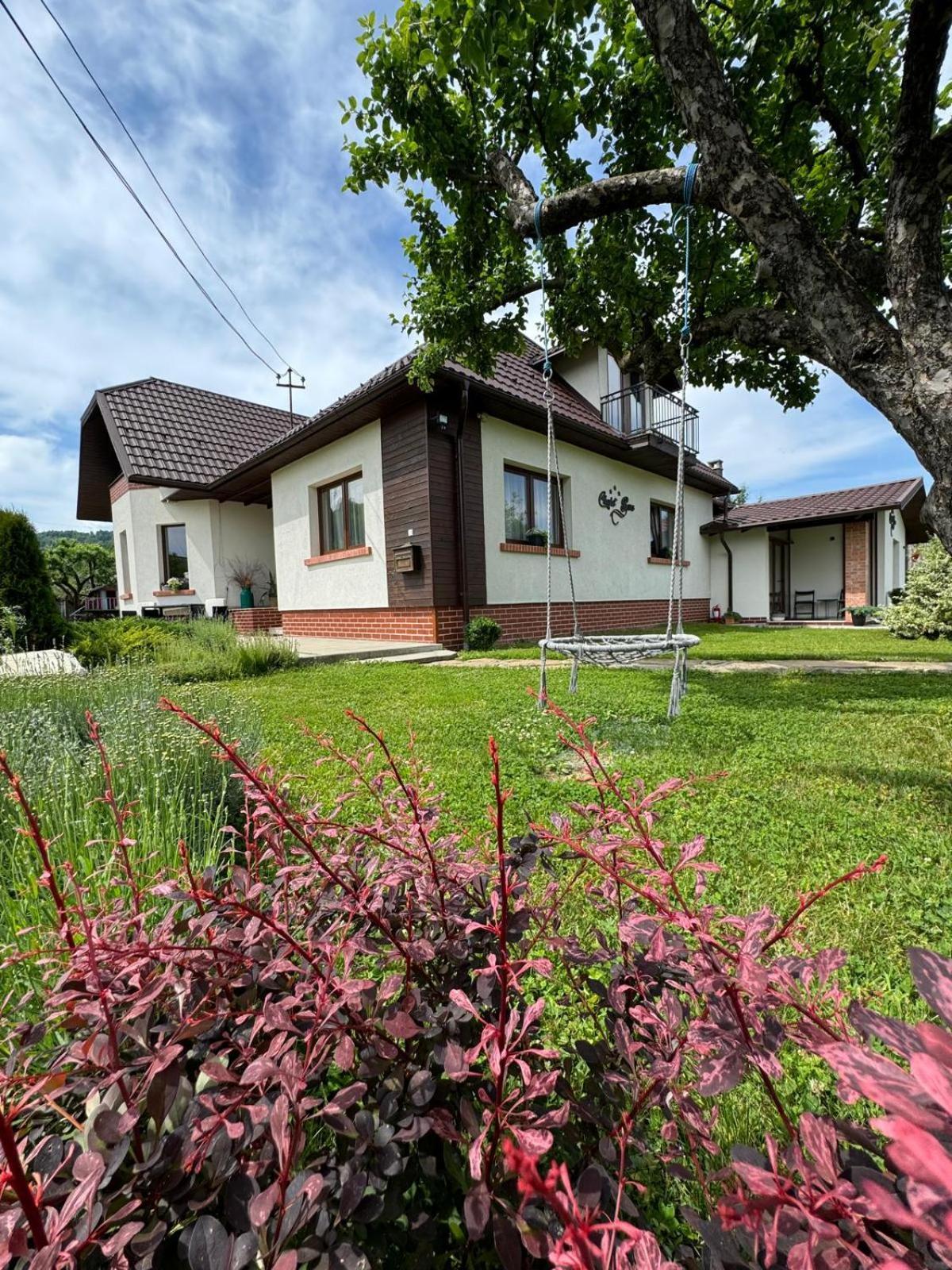 Chalet Bora Viseu de Jos Exterior foto