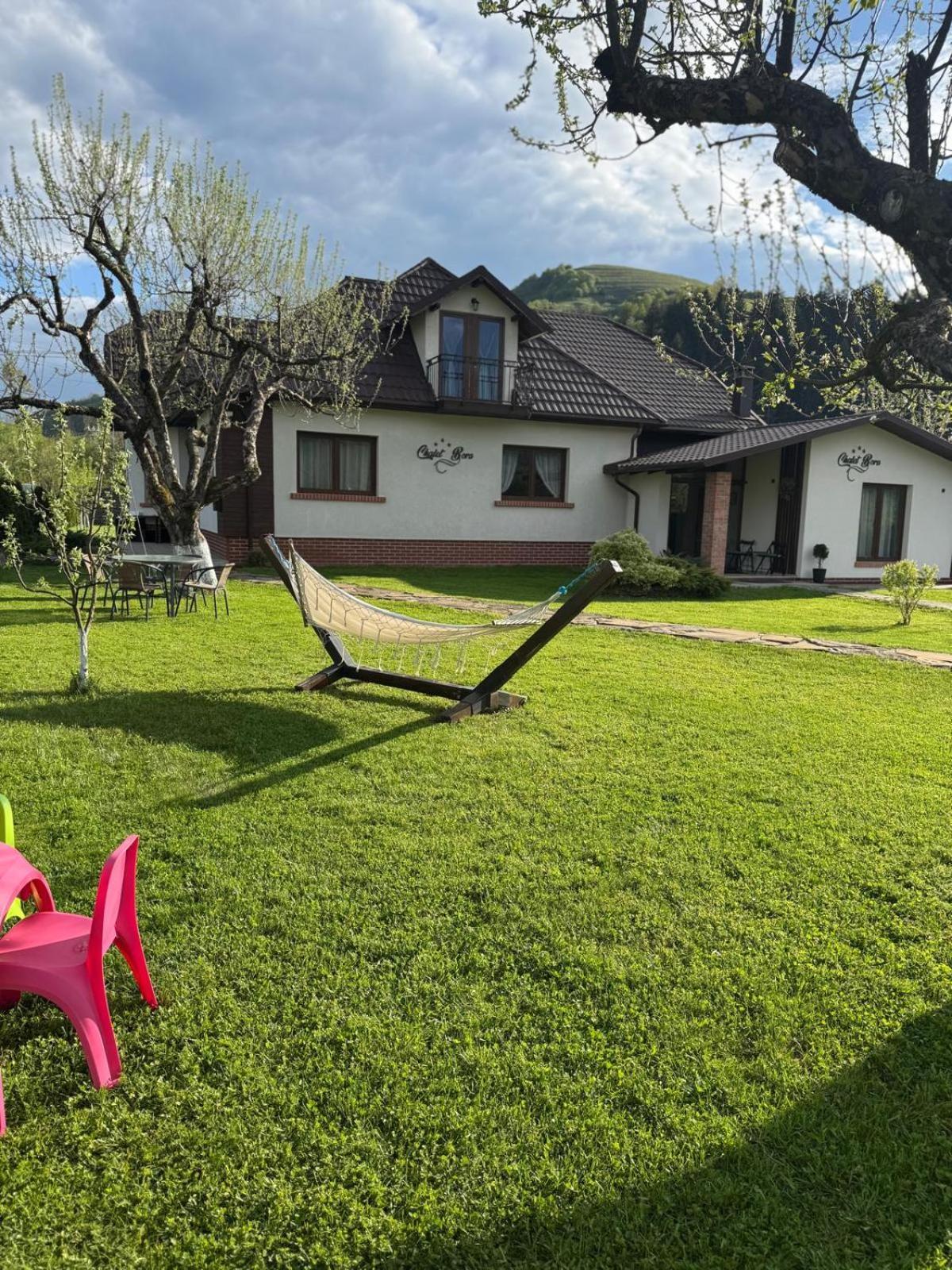 Chalet Bora Viseu de Jos Exterior foto