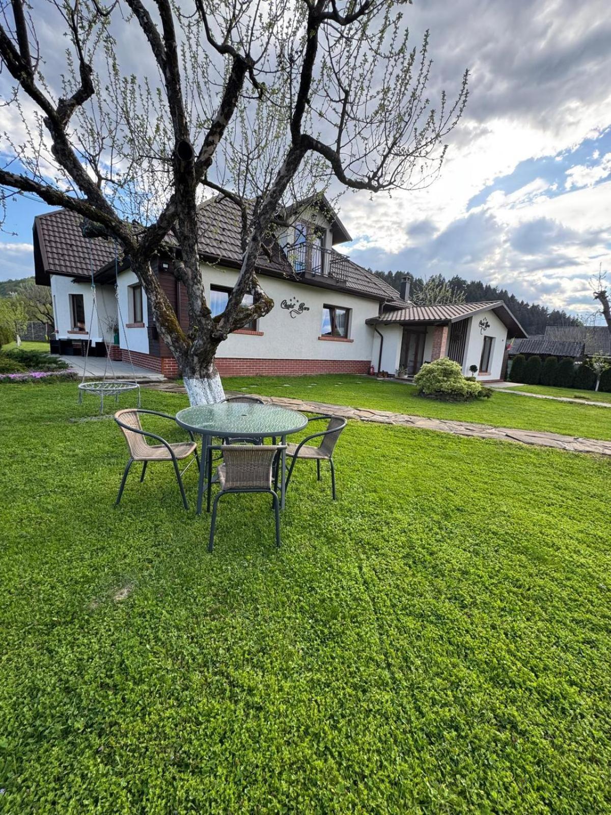 Chalet Bora Viseu de Jos Exterior foto
